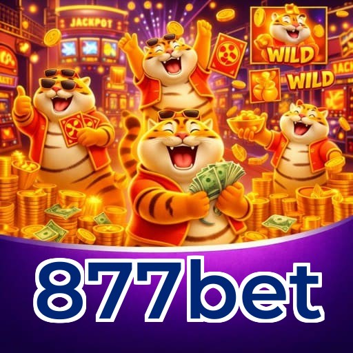 Comparação APP mobile vs versão web da 877bet